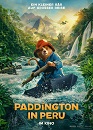 Ayı Paddington Peru'da